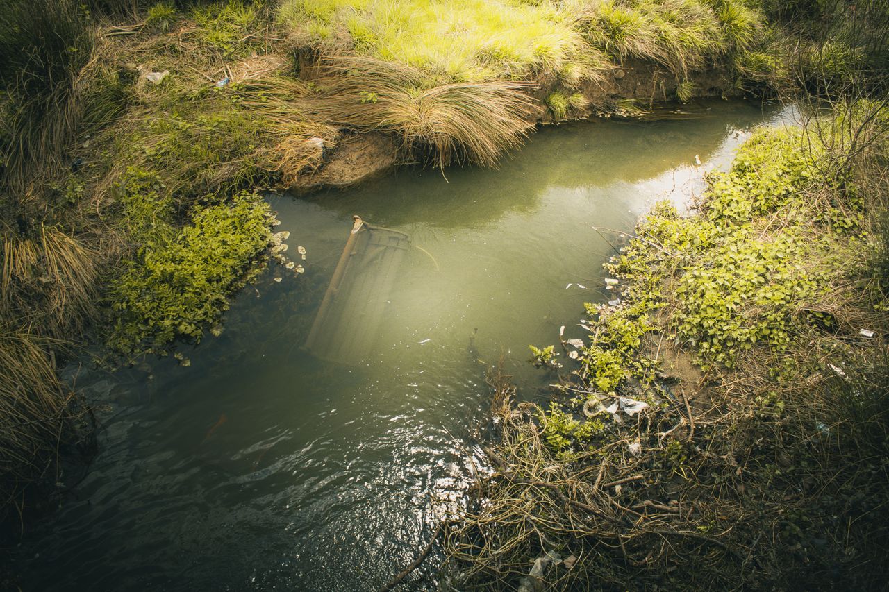 A car submerged in a small rural creek surrounded by green vegetation.